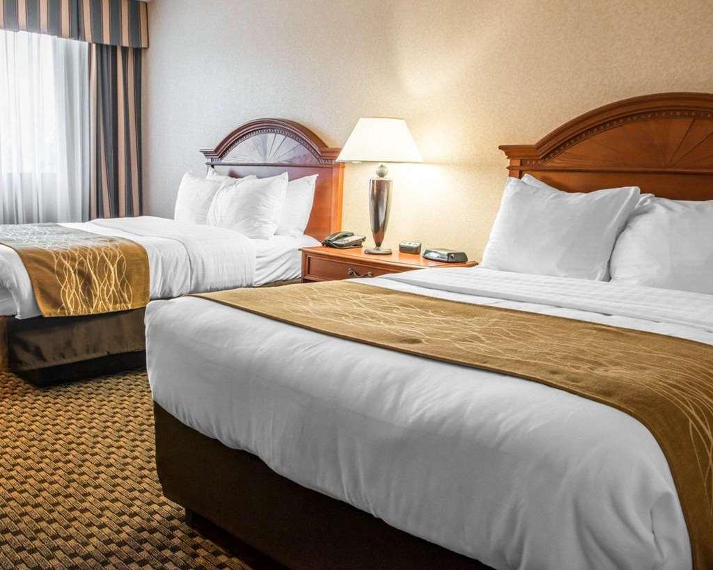 Comfort Inn & Suites Montrose Hill Rum bild