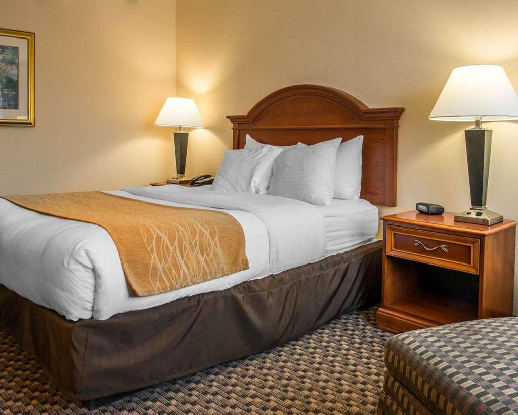 Comfort Inn & Suites Montrose Hill Rum bild
