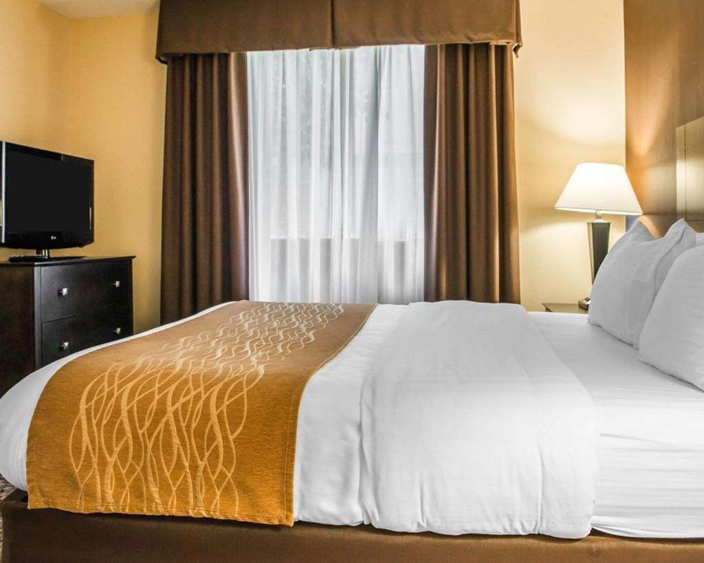 Comfort Inn & Suites Montrose Hill Rum bild