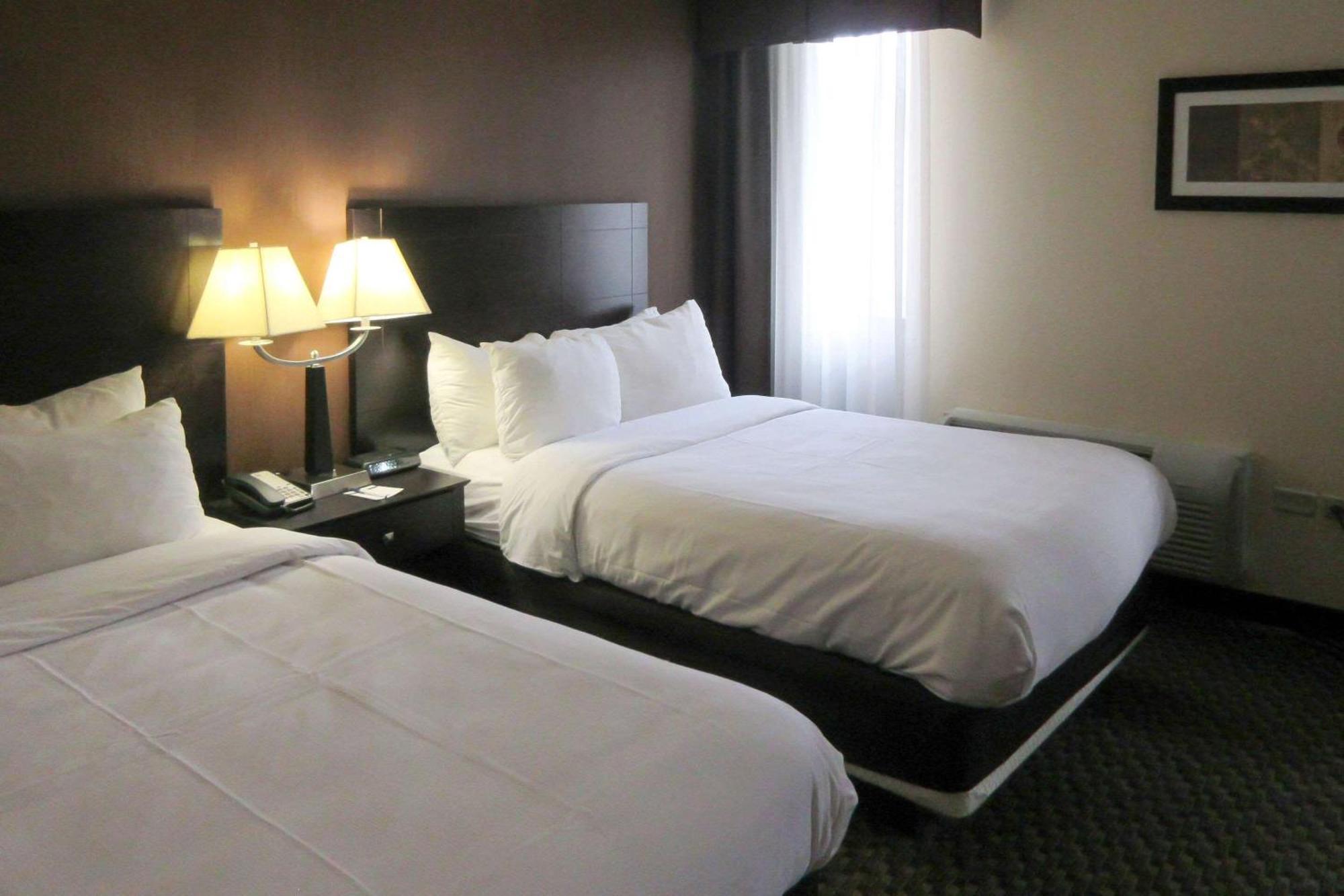 Comfort Inn & Suites Montrose Hill Exteriör bild